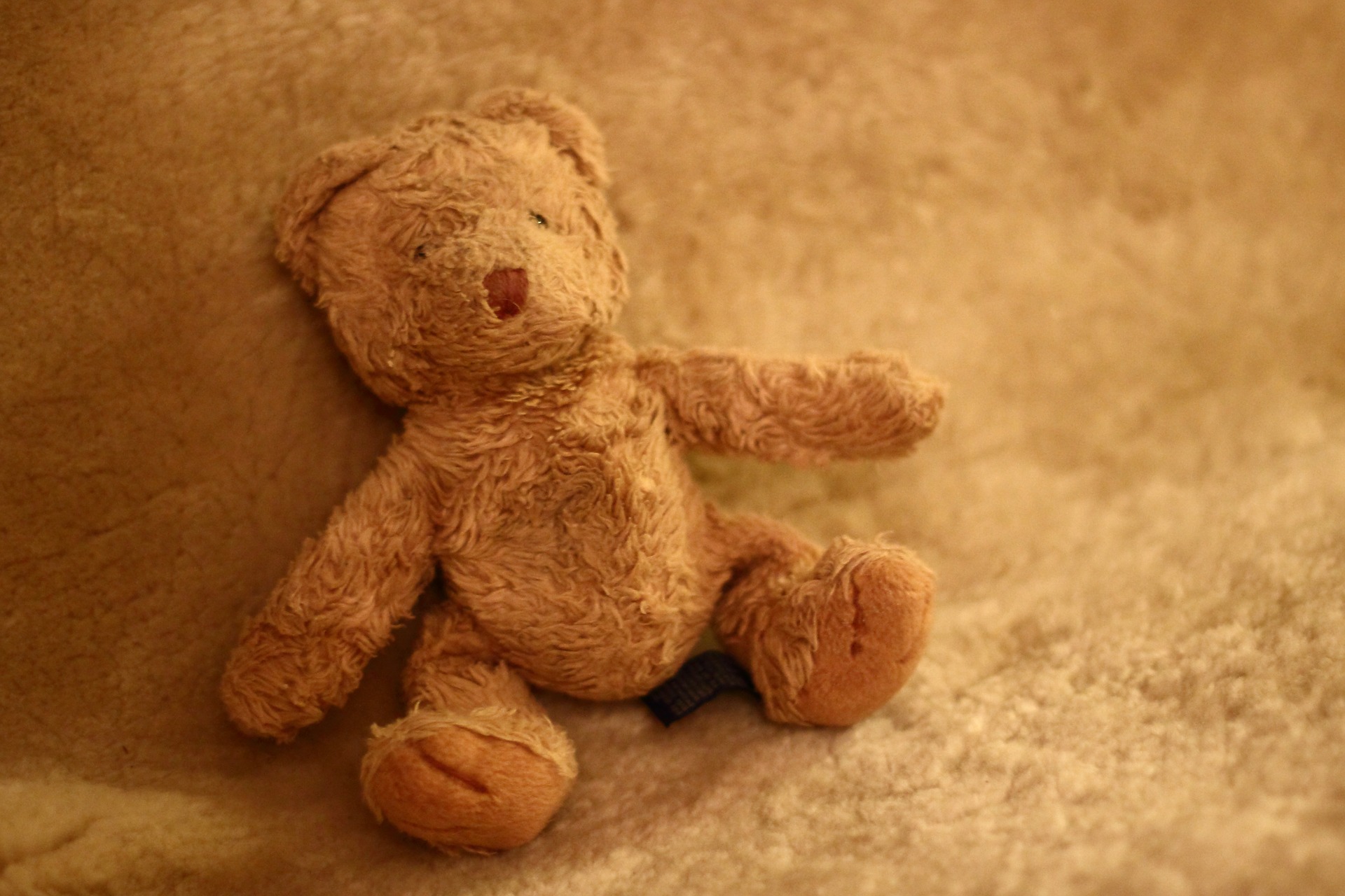 teddy-bear-272237_1920